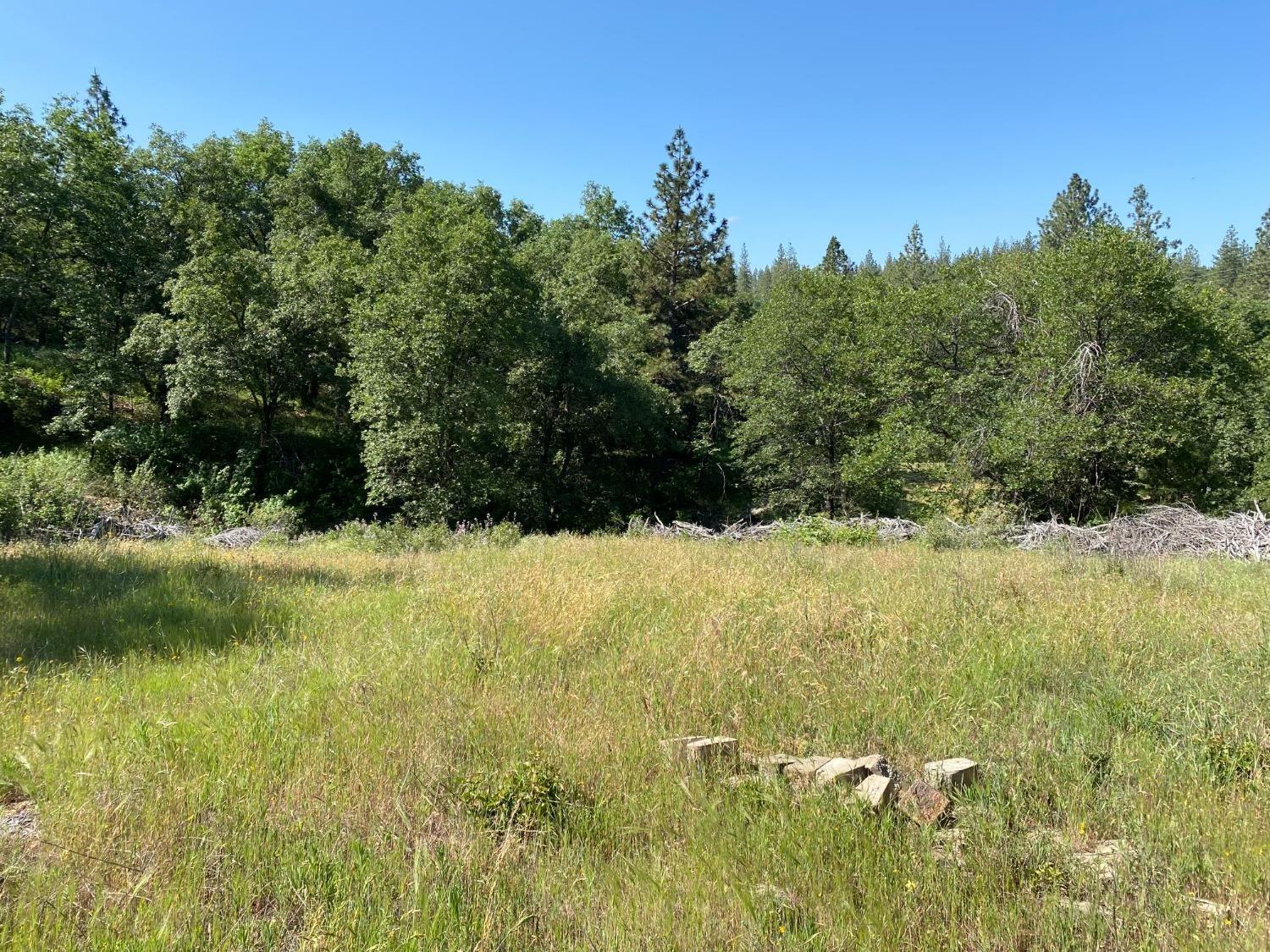 Blue Bonnet, Somerset, California image 3