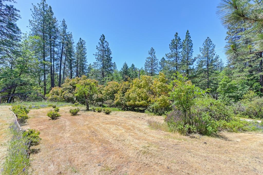 Detail Gallery Image 37 of 38 For 20427 Starlight Ln, Grass Valley,  CA 95945 - 3 Beds | 2 Baths