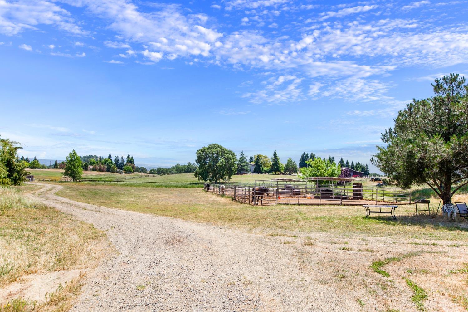 Detail Gallery Image 53 of 59 For 2174 Talon Dr, Shingle Springs,  CA 95682 - 4 Beds | 2/1 Baths