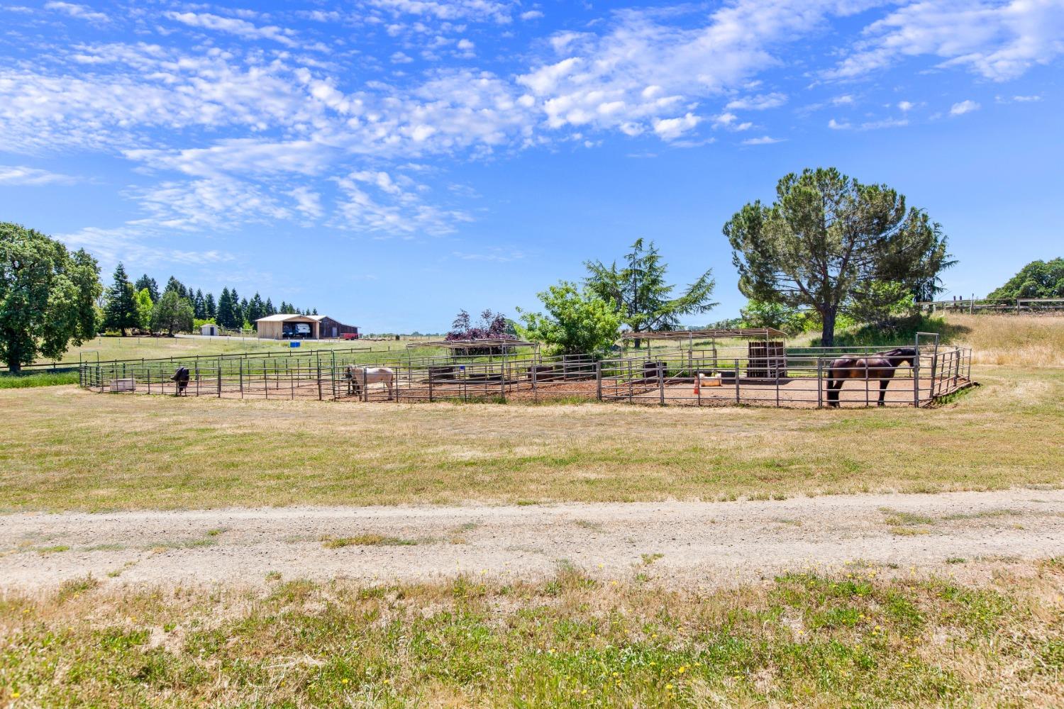 Detail Gallery Image 52 of 59 For 2174 Talon Dr, Shingle Springs,  CA 95682 - 4 Beds | 2/1 Baths