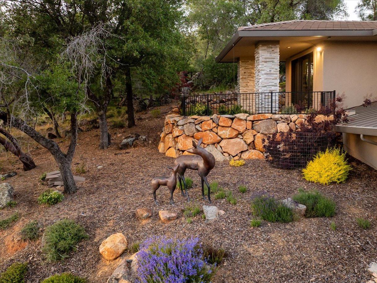 Detail Gallery Image 6 of 55 For 2073 Long View Dr, Meadow Vista,  CA 95722 - 3 Beds | 3/1 Baths