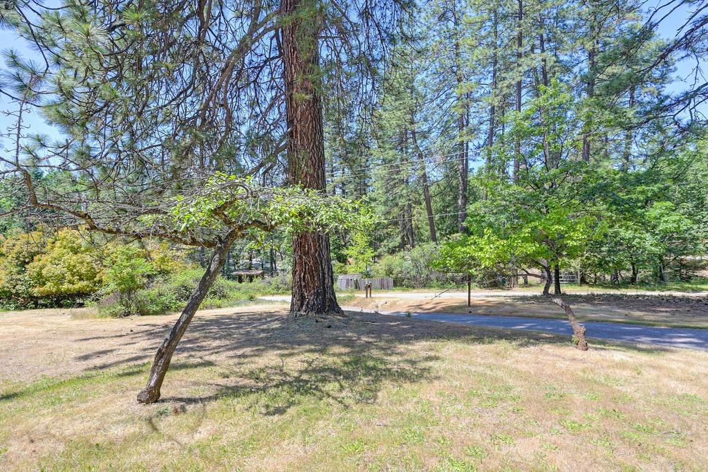 Detail Gallery Image 36 of 38 For 20427 Starlight Ln, Grass Valley,  CA 95945 - 3 Beds | 2 Baths