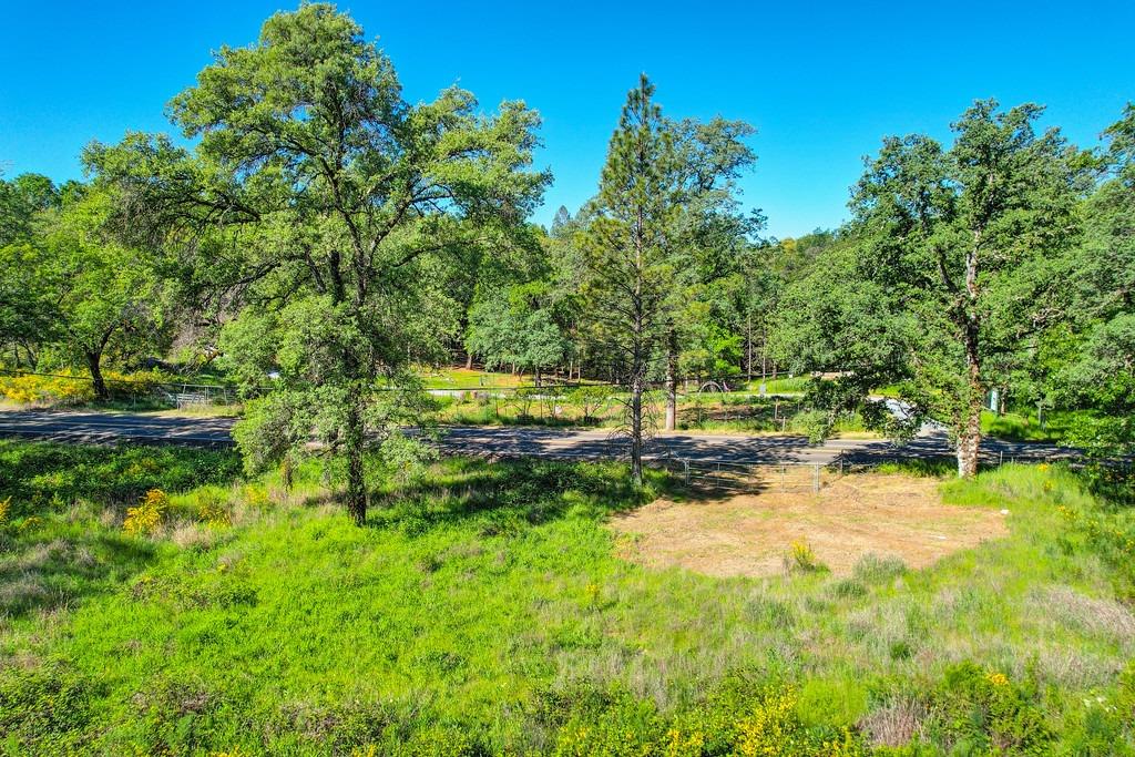Greenwood Road, Garden Valley, California image 7
