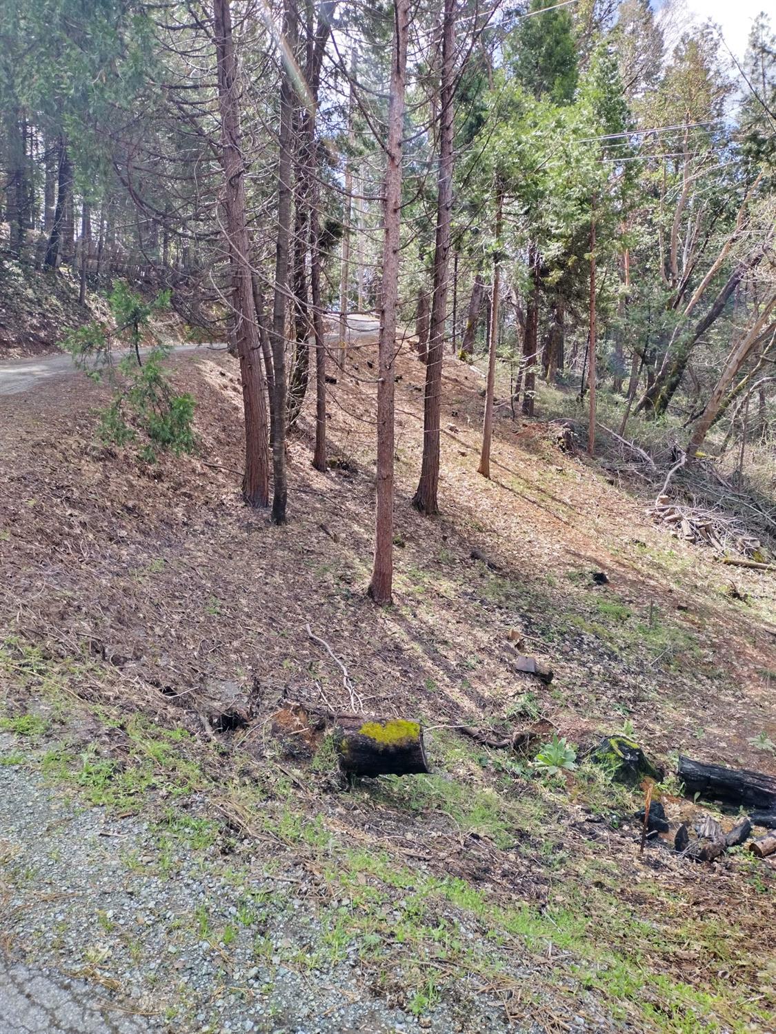 State Highway 193, Georgetown, California image 7