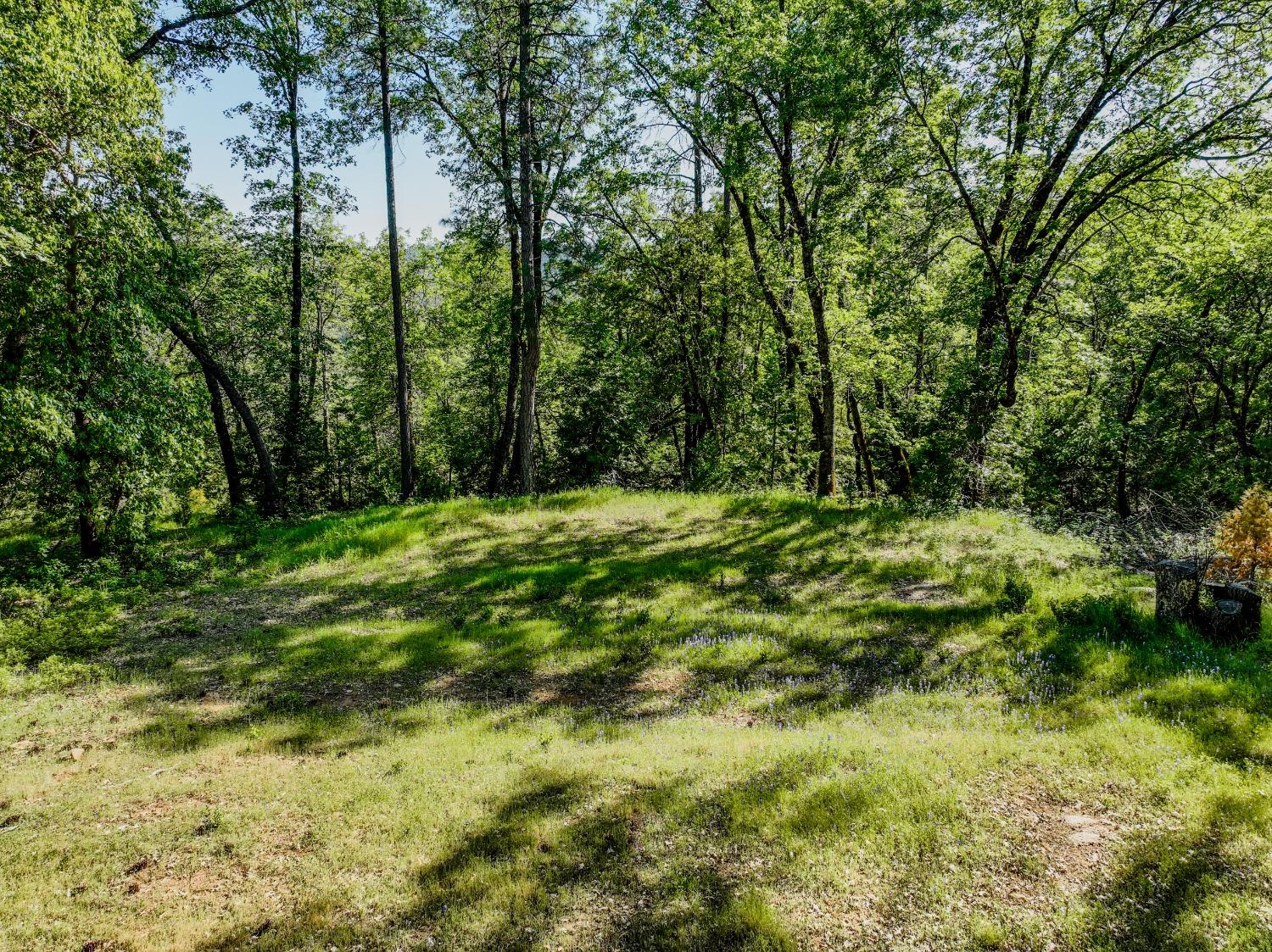 Detail Gallery Image 3 of 32 For 21160 Kuntz Rd, Nevada City,  CA 95959 - – Beds | – Baths
