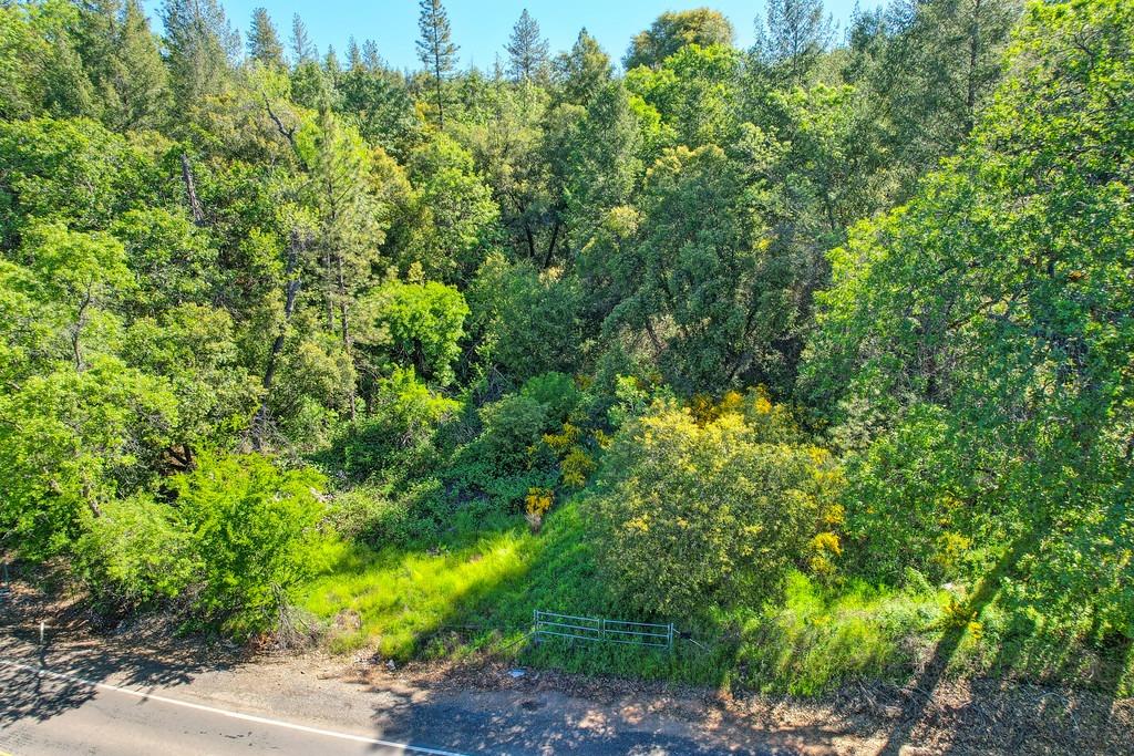 Greenwood Road, Garden Valley, California image 25