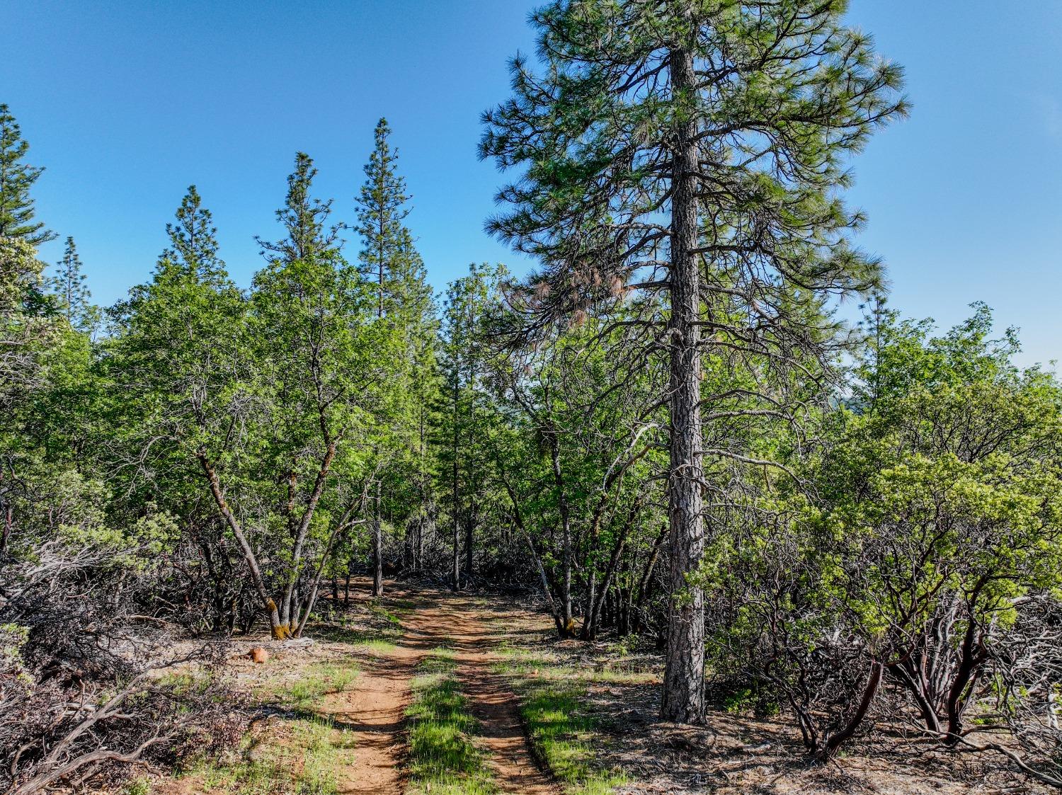 Detail Gallery Image 22 of 32 For 21160 Kuntz Rd, Nevada City,  CA 95959 - – Beds | – Baths