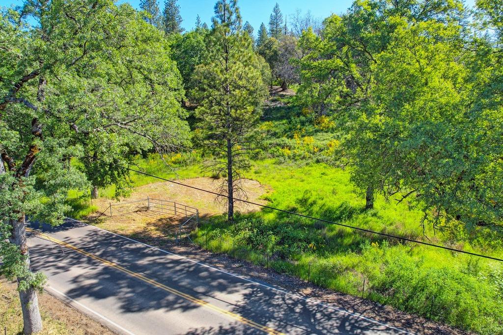 Greenwood Road, Garden Valley, California image 14