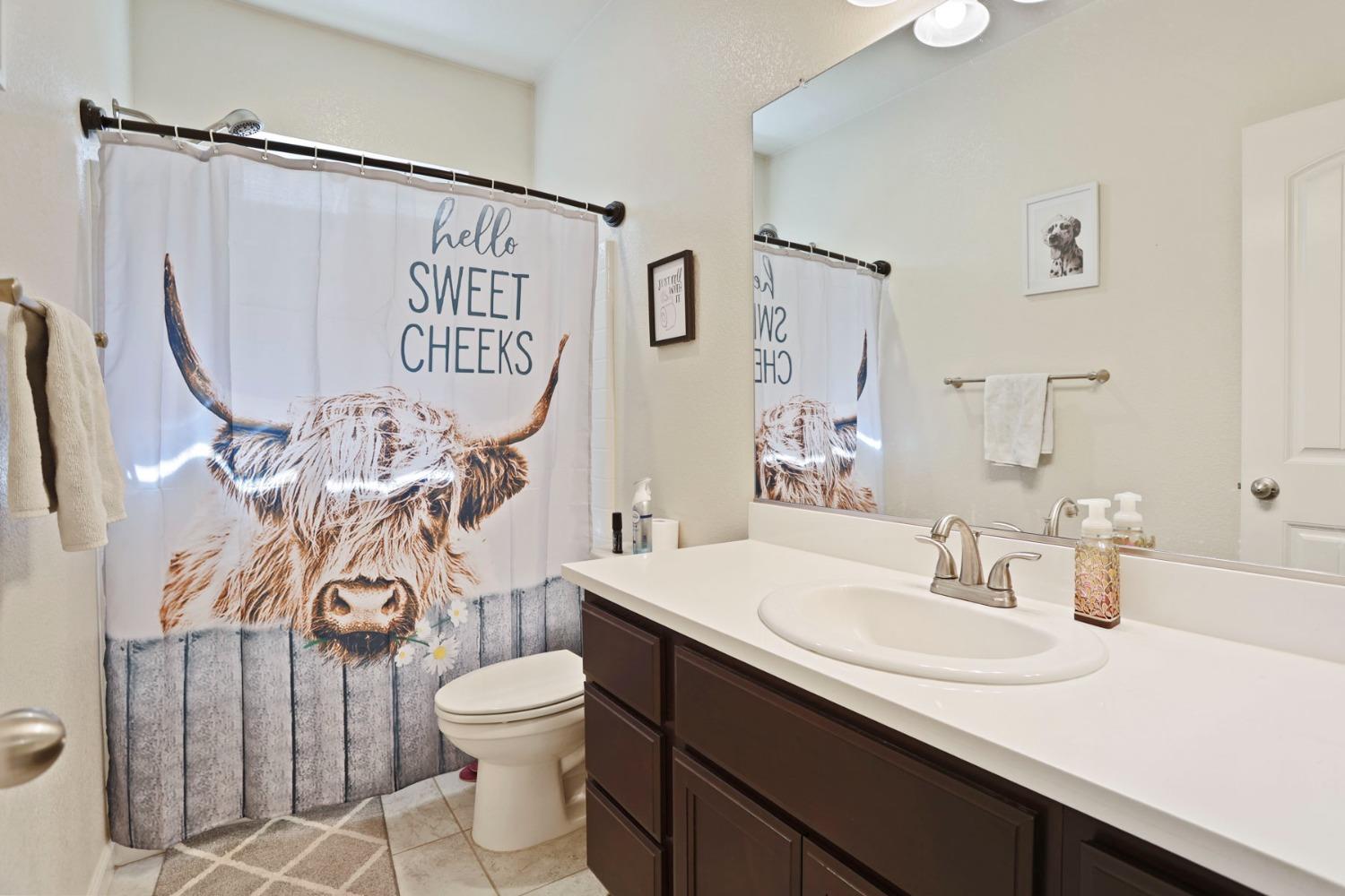 Detail Gallery Image 11 of 41 For 13311 Fountain Dr, Waterford,  CA 95386 - 3 Beds | 2 Baths
