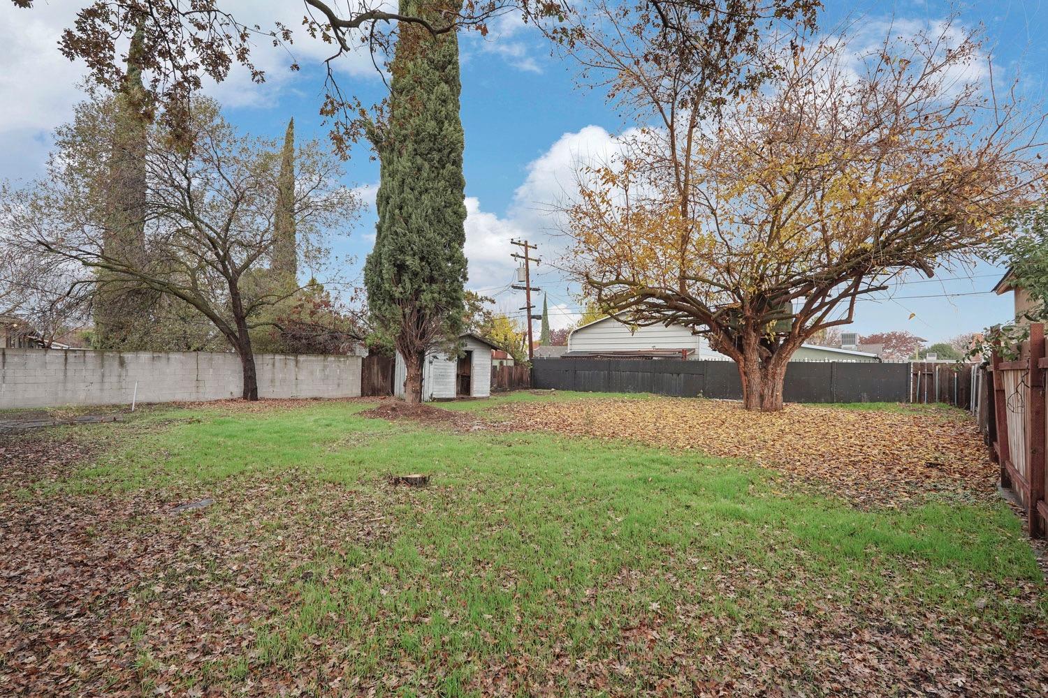 Jean Avenue, Stockton, California image 36