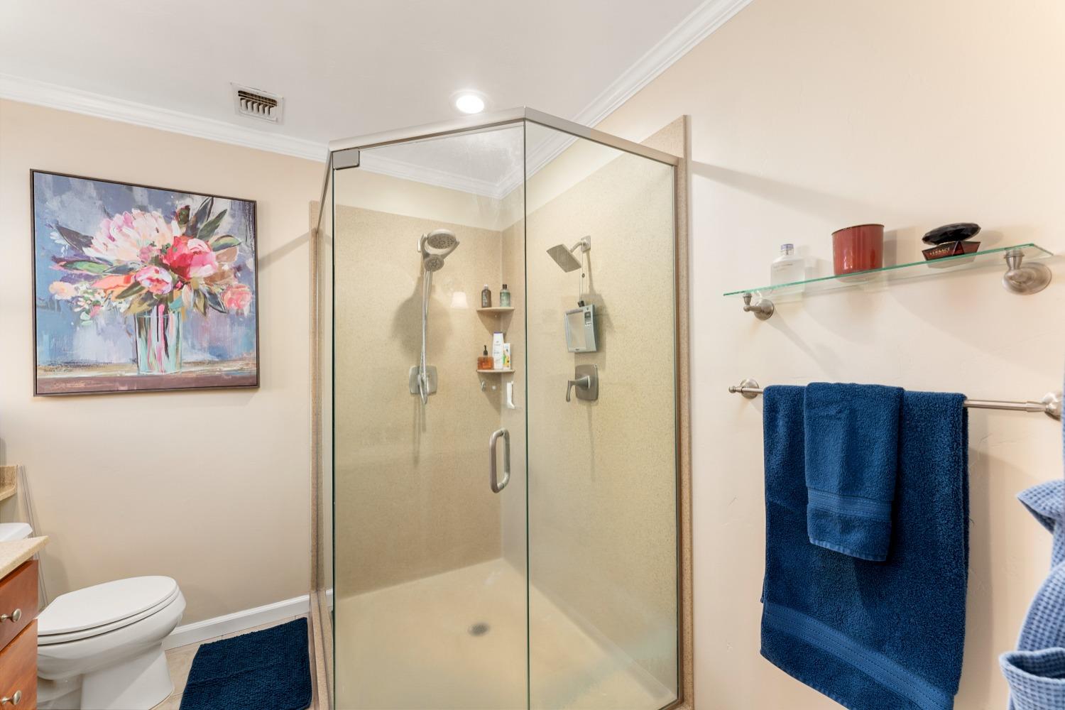 Detail Gallery Image 45 of 99 For 11750 Cresthill Dr, Elk Grove,  CA 95624 - 4 Beds | 2 Baths