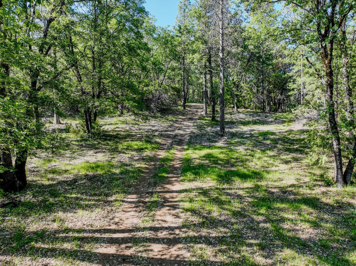 Detail Gallery Image 7 of 32 For 21160 Kuntz Rd, Nevada City,  CA 95959 - – Beds | – Baths