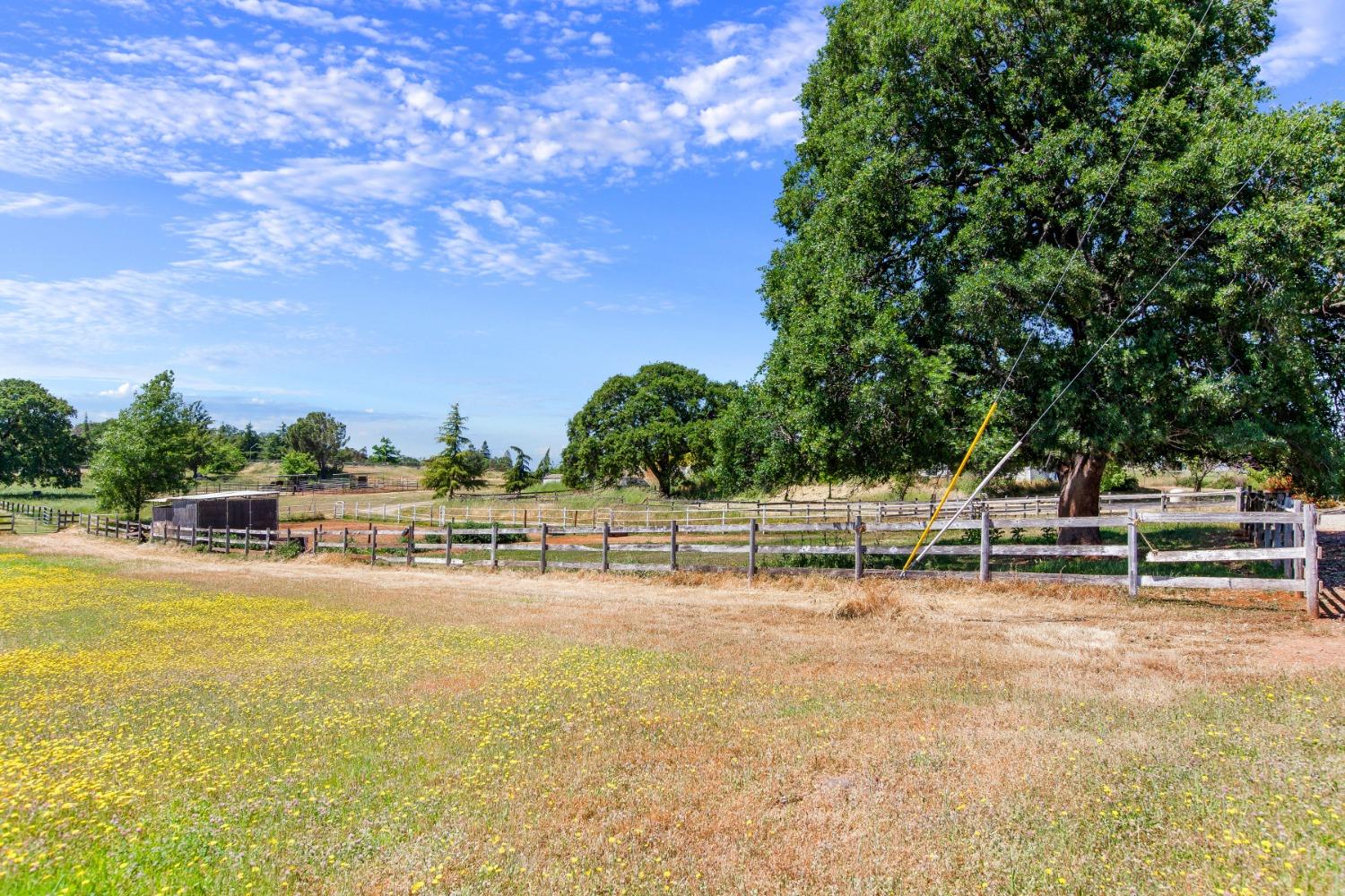 Detail Gallery Image 58 of 59 For 2174 Talon Dr, Shingle Springs,  CA 95682 - 4 Beds | 2/1 Baths