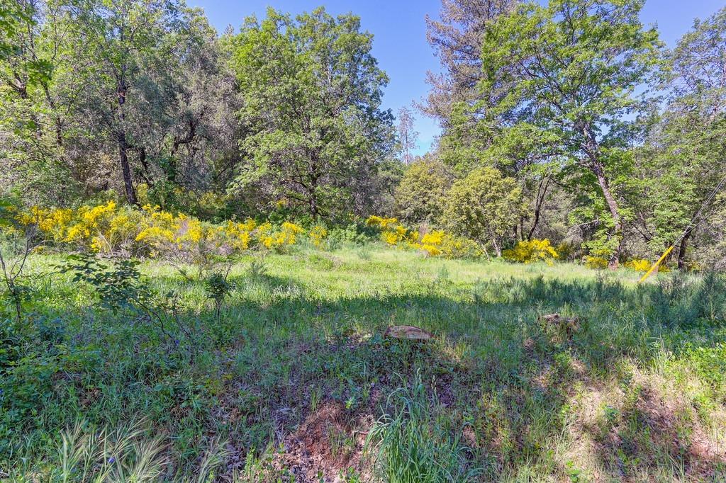 Greenwood Road, Garden Valley, California image 21
