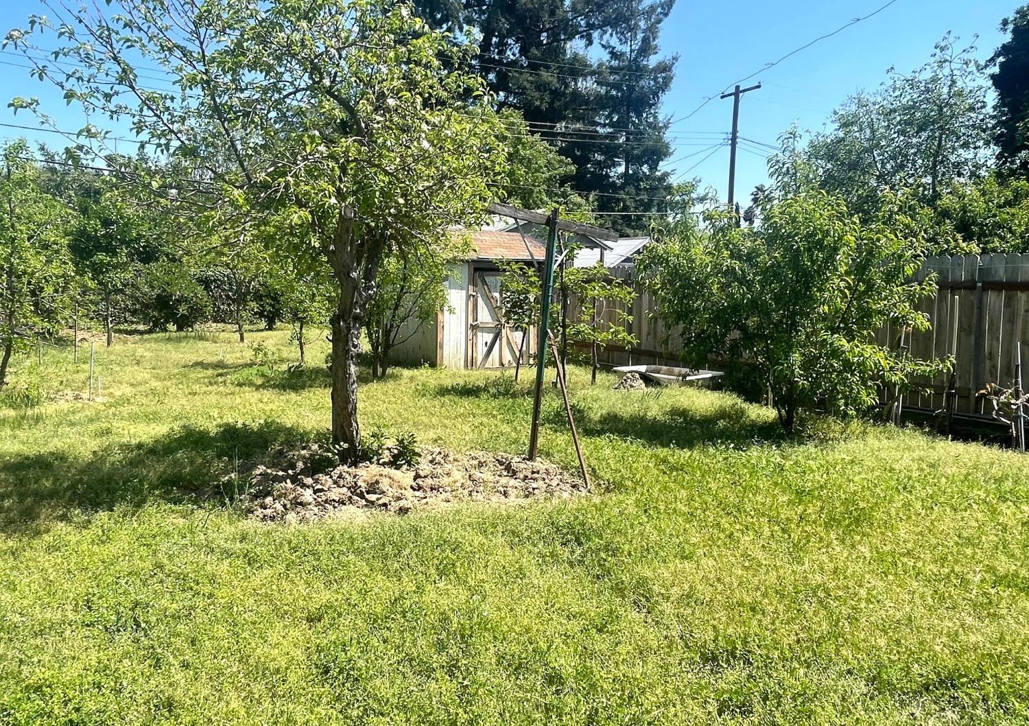 Vista Avenue, Sacramento, California image 7