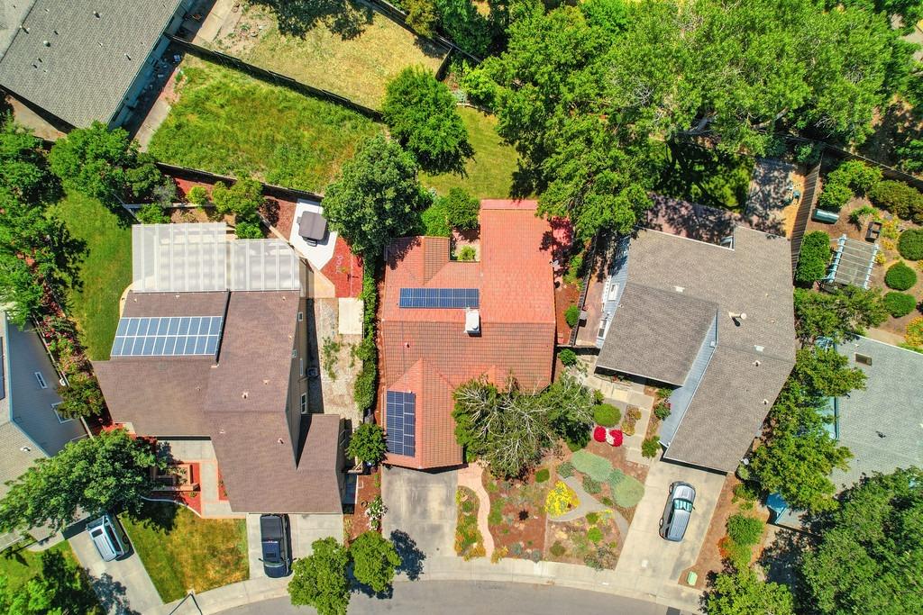Concord Avenue, Davis, California image 47