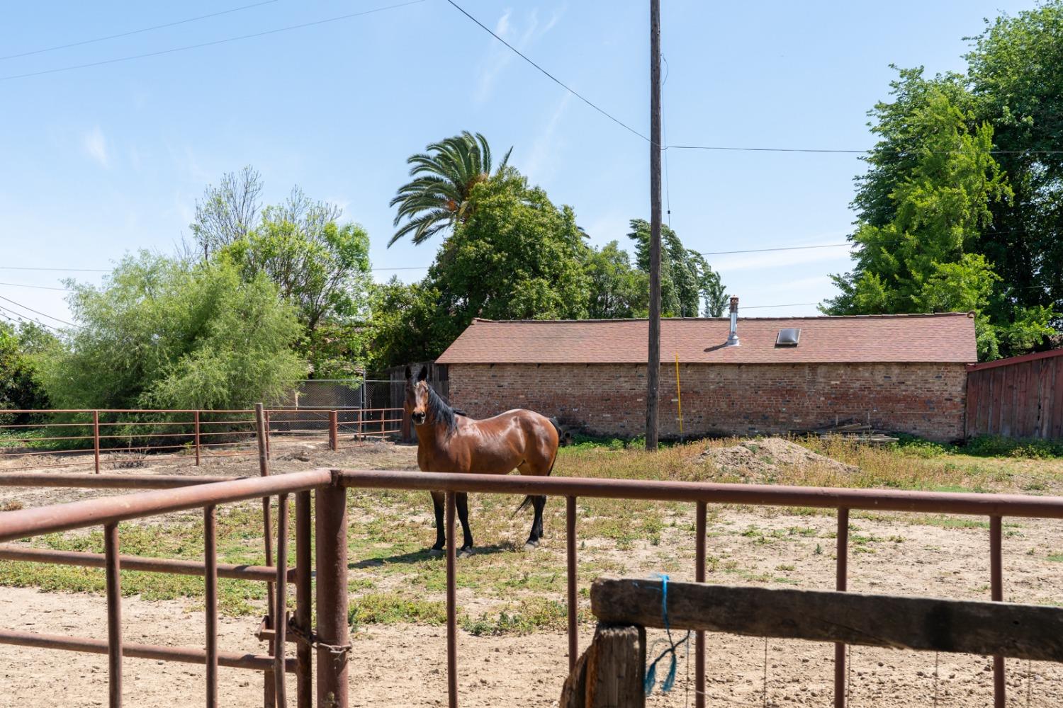 Detail Gallery Image 29 of 61 For 3789 State Highway 33, Gustine,  CA 95322 - 3 Beds | 2/1 Baths
