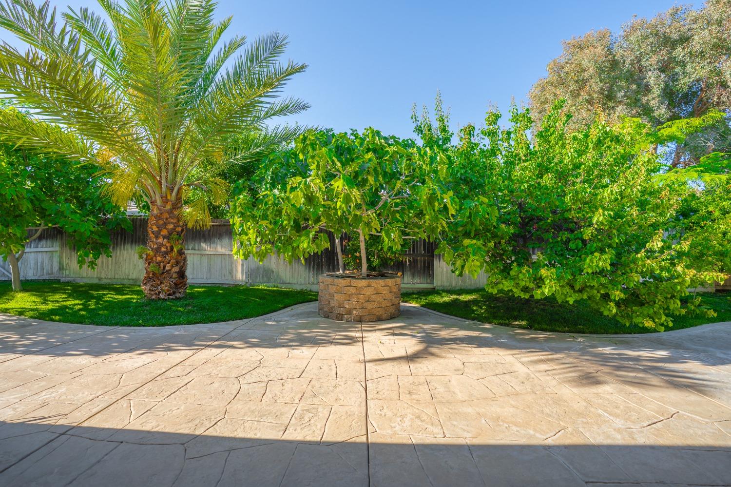Detail Gallery Image 68 of 77 For 2080 Maximillian Ct, Los Banos,  CA 93635 - 4 Beds | 2/1 Baths