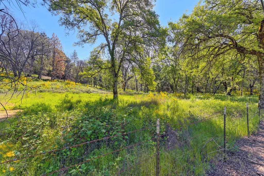 Greenwood Road, Garden Valley, California image 6