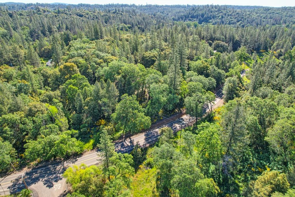 Greenwood Road, Garden Valley, California image 10