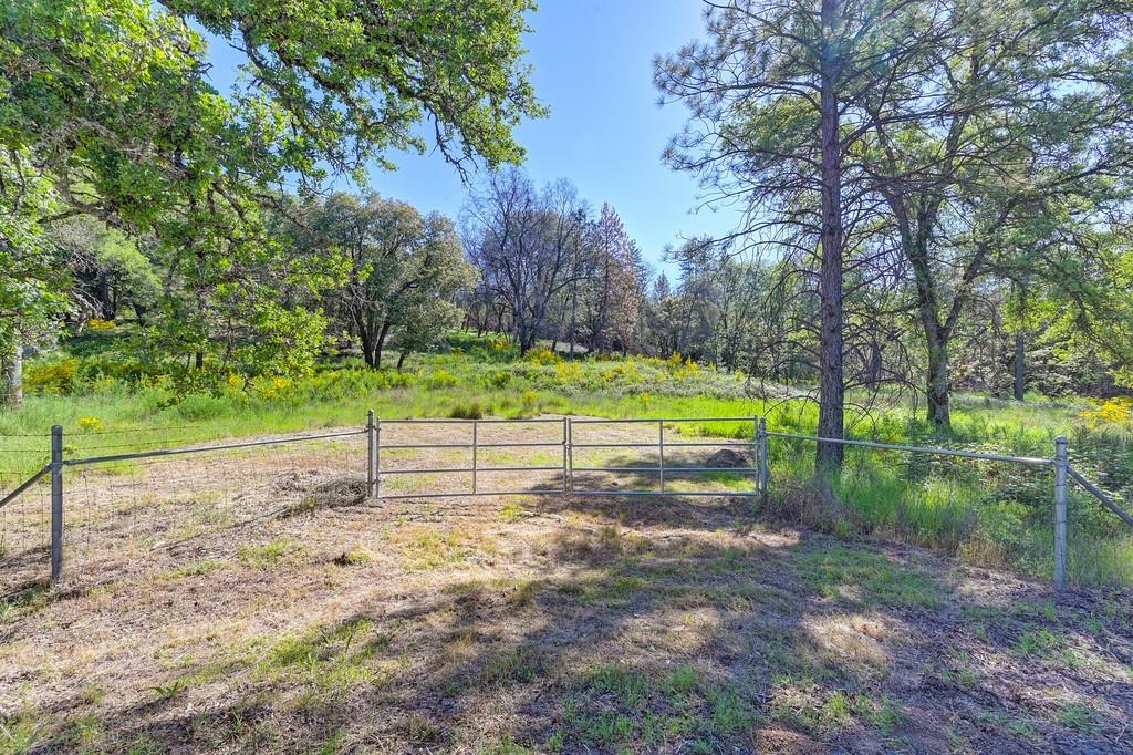 Greenwood Road, Garden Valley, California image 3