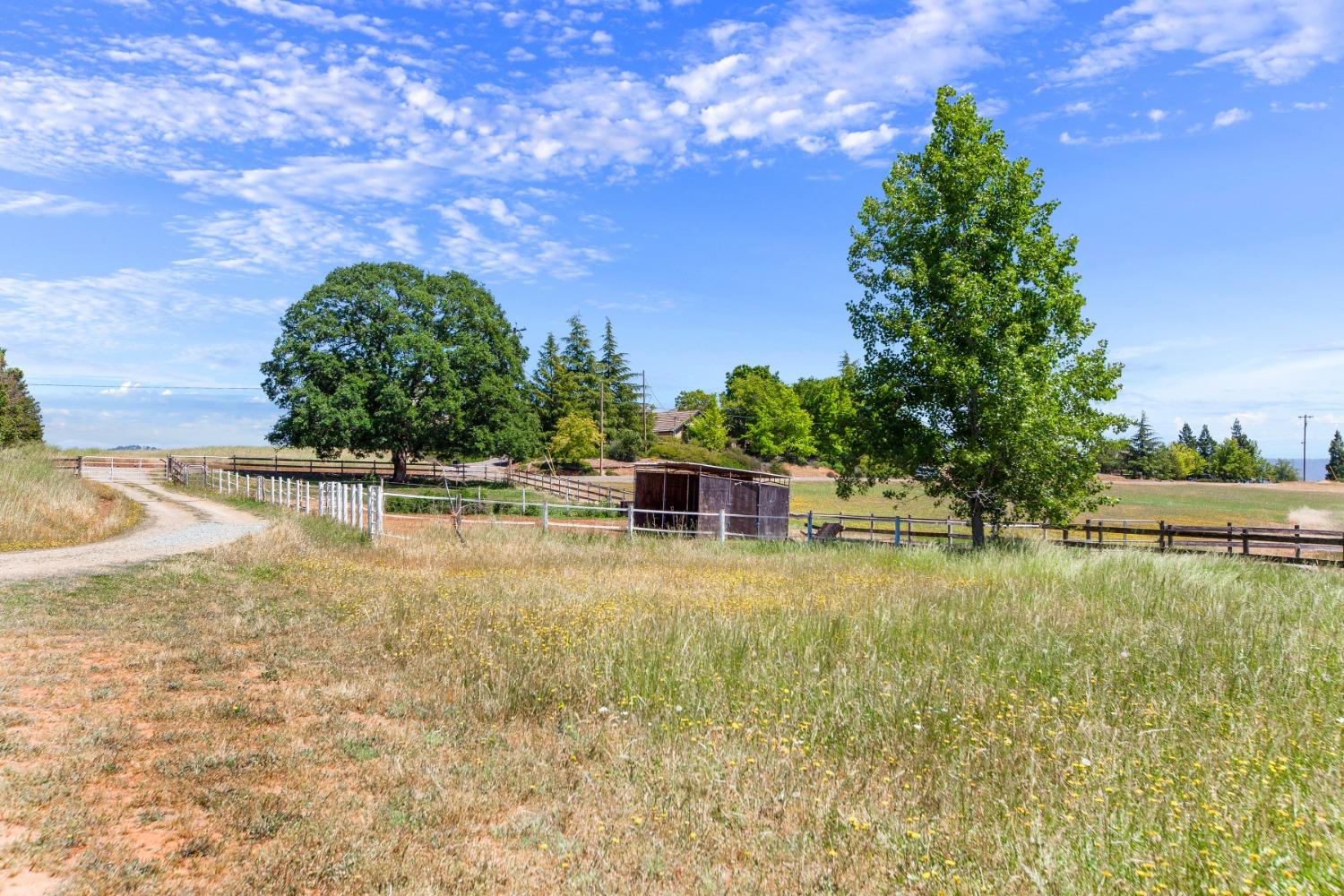 Detail Gallery Image 56 of 59 For 2174 Talon Dr, Shingle Springs,  CA 95682 - 4 Beds | 2/1 Baths