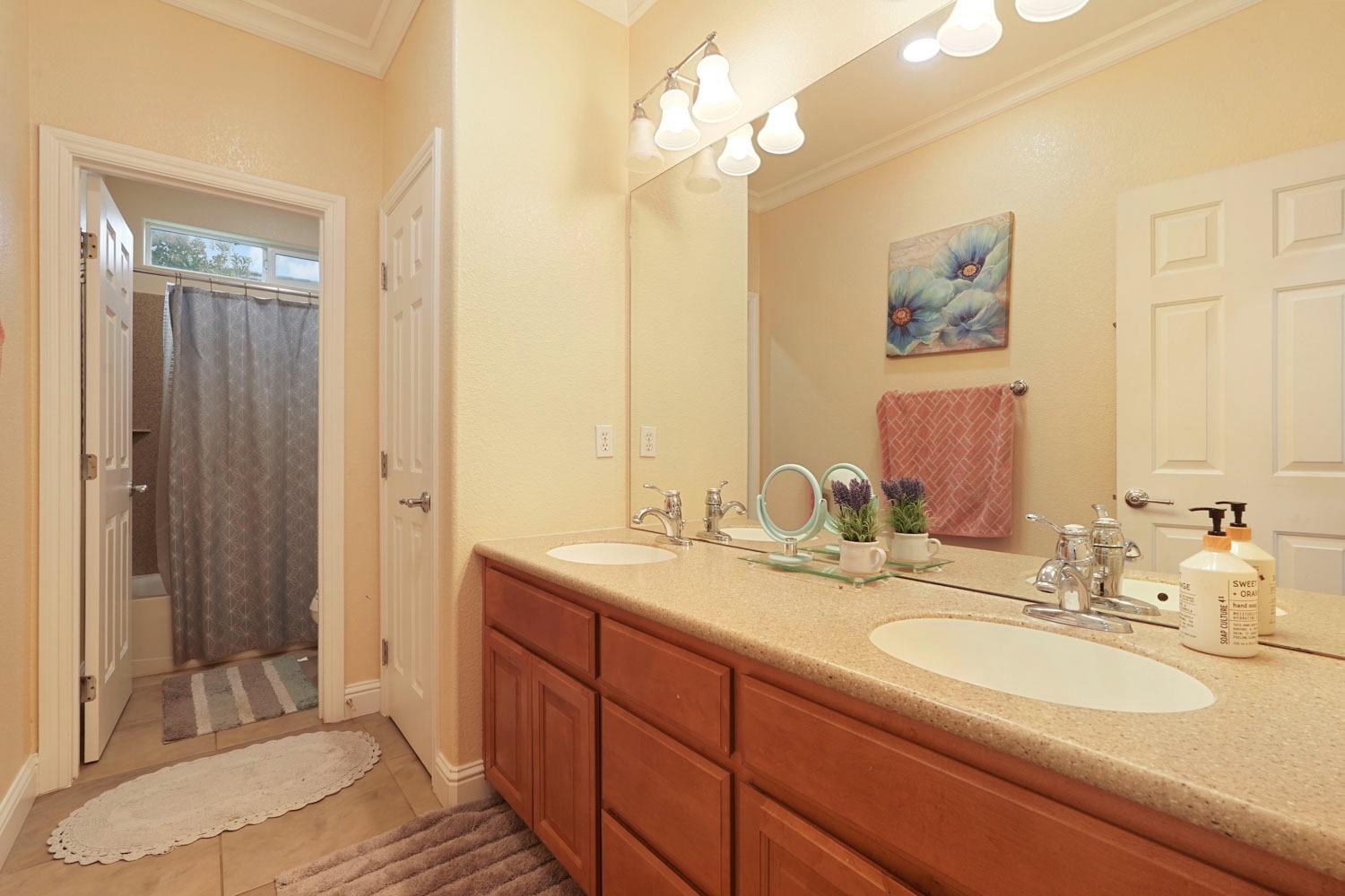 Detail Gallery Image 22 of 39 For 610 W La Canada Ave, Mountain House,  CA 95391 - 5 Beds | 3/1 Baths