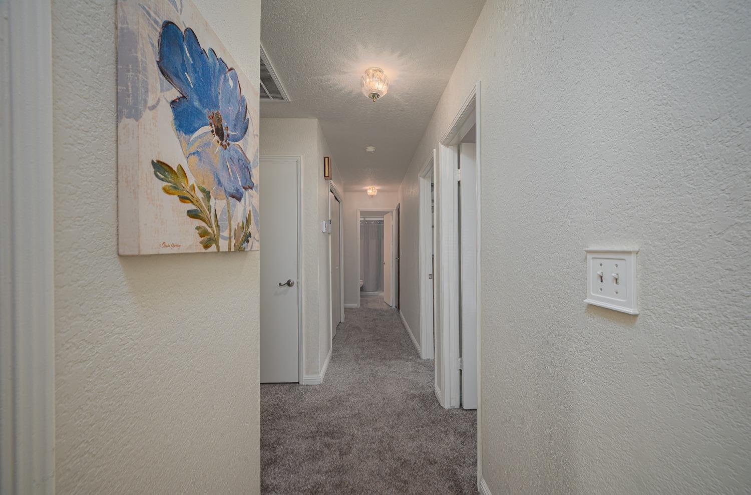 Chesapeake Avenue, Modesto, California image 9