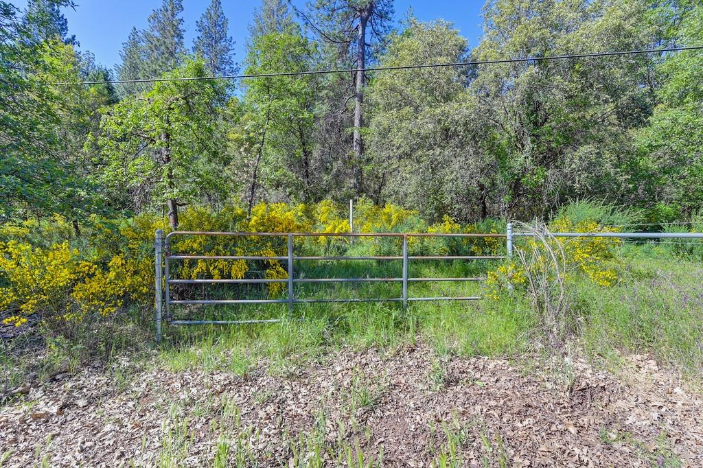 Greenwood Road, Garden Valley, California image 22