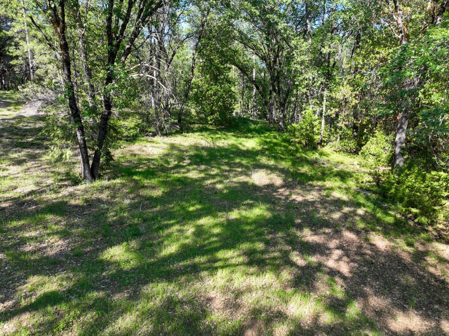 Detail Gallery Image 31 of 32 For 21160 Kuntz Rd, Nevada City,  CA 95959 - – Beds | – Baths