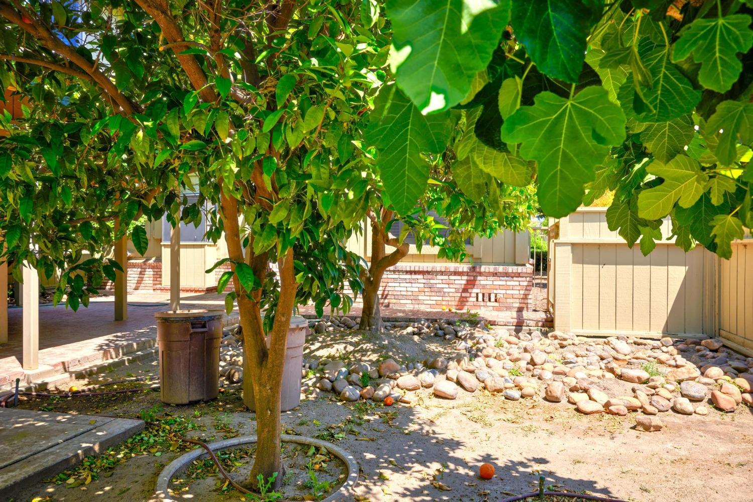 Detail Gallery Image 49 of 53 For 211 N Maple, Manteca,  CA 95336 - 3 Beds | 1 Baths