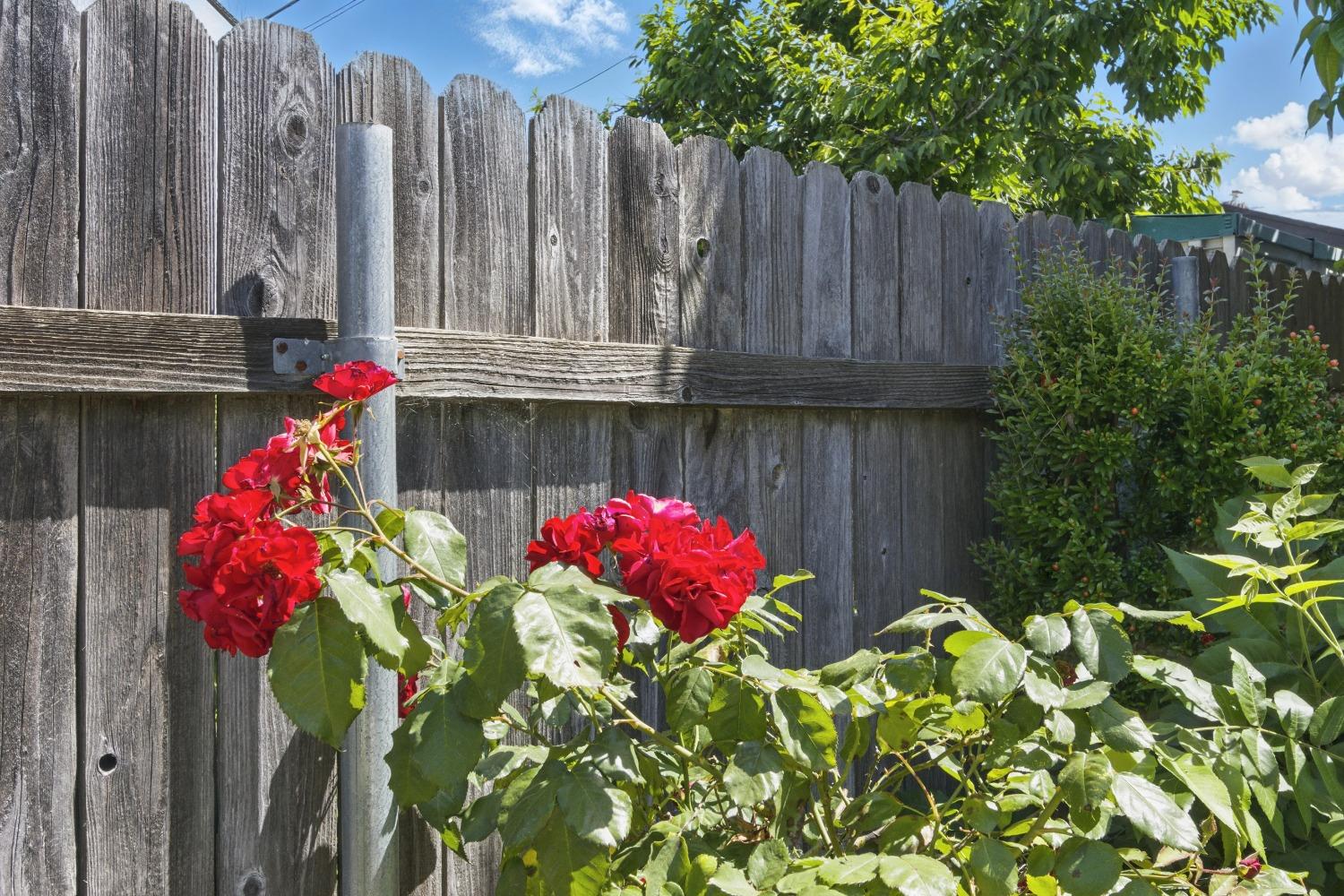 Detail Gallery Image 60 of 70 For 2237 Edwards St, Marysville,  CA 95901 - 4 Beds | 2/1 Baths