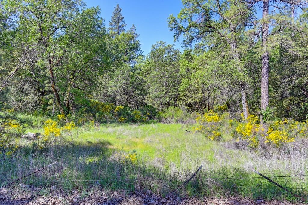 Greenwood Road, Garden Valley, California image 20