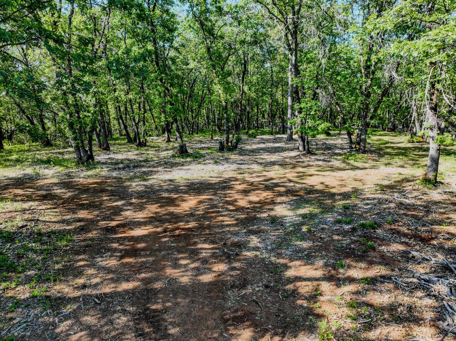Detail Gallery Image 12 of 32 For 21160 Kuntz Rd, Nevada City,  CA 95959 - – Beds | – Baths