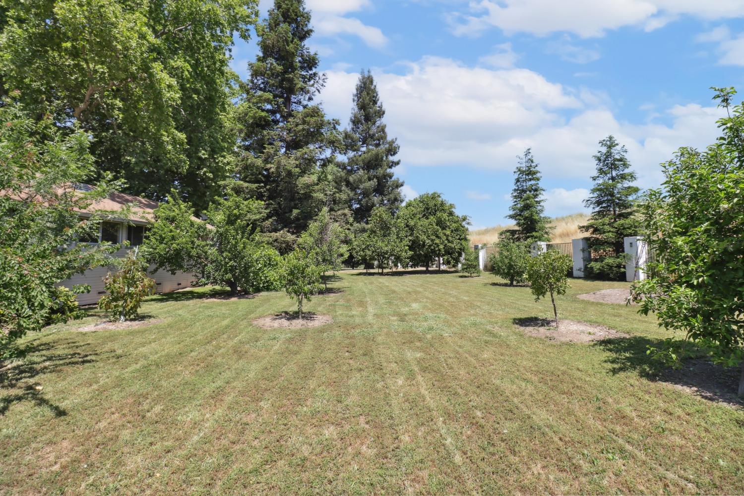 Detail Gallery Image 59 of 98 For 2590 S River Rd, West Sacramento,  CA 95691 - 3 Beds | 2/1 Baths
