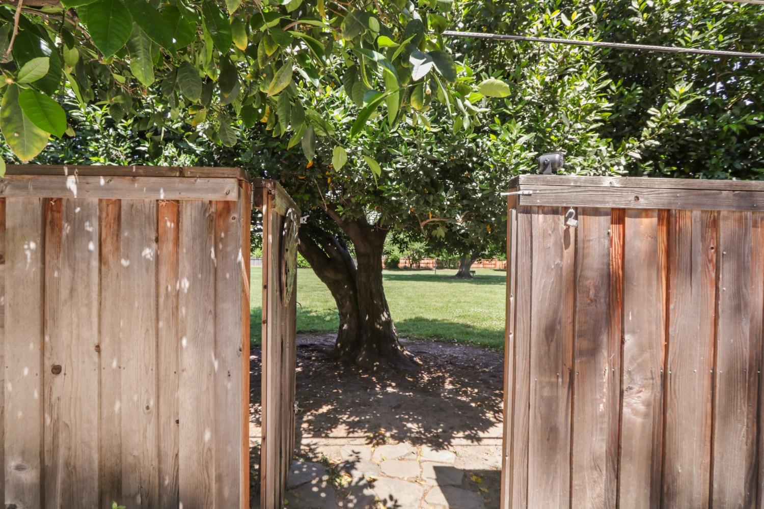 Detail Gallery Image 58 of 68 For 120 Clunie Dr, Sacramento,  CA 95864 - 4 Beds | 3/1 Baths