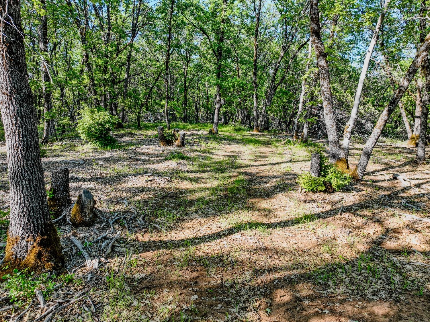 Detail Gallery Image 13 of 32 For 21160 Kuntz Rd, Nevada City,  CA 95959 - – Beds | – Baths