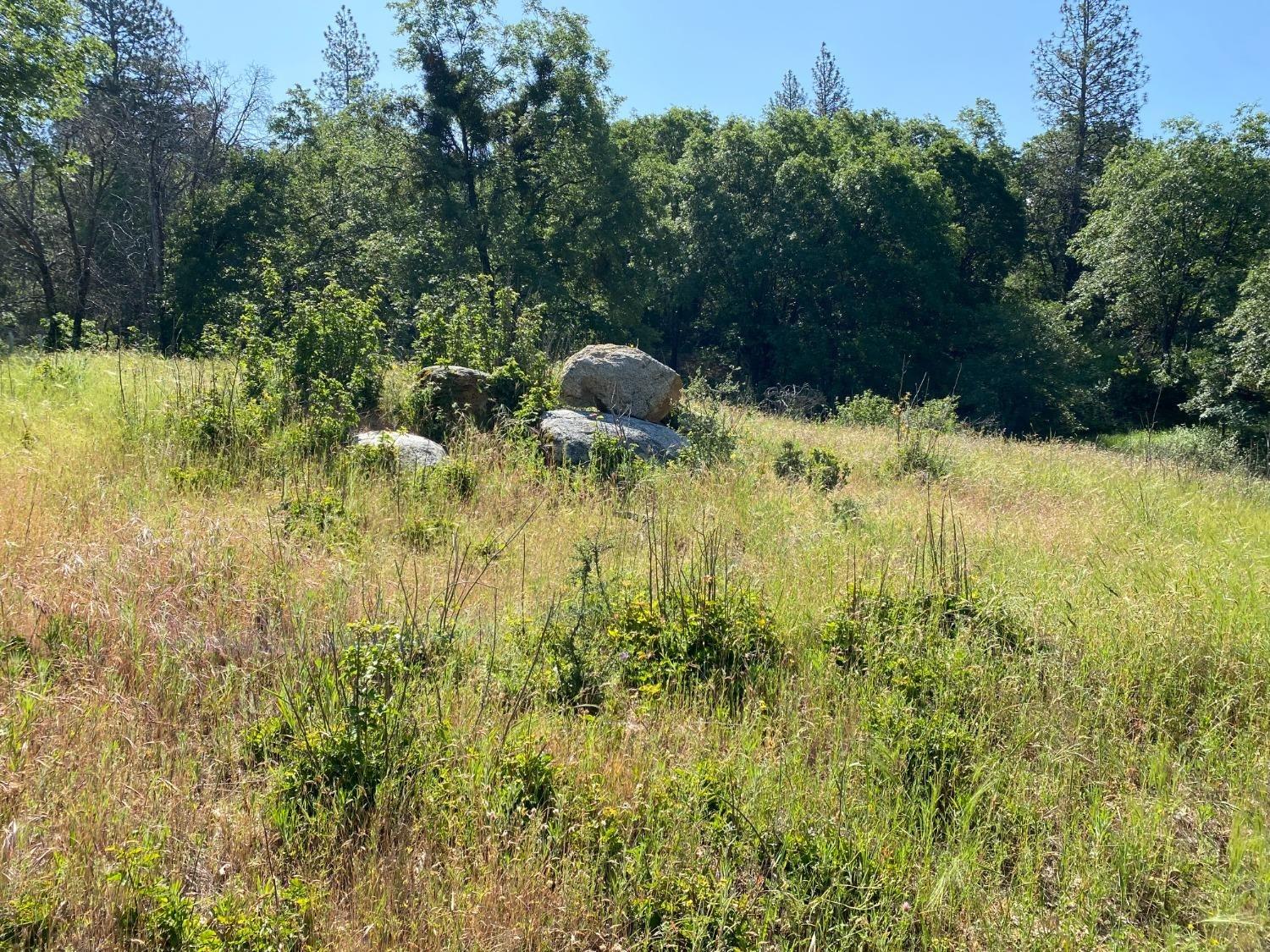 Blue Bonnet, Somerset, California image 6