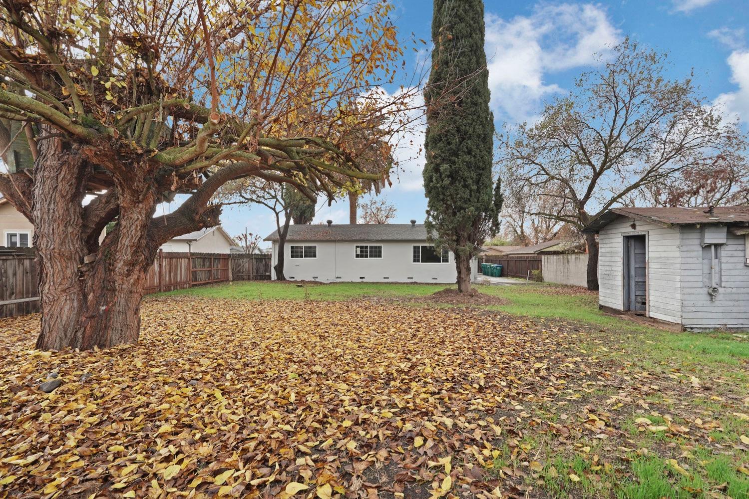 Jean Avenue, Stockton, California image 38