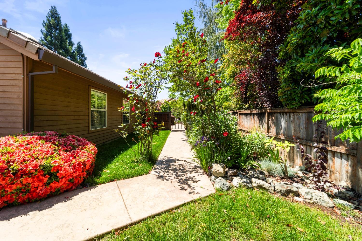 Bridlewood Drive, El Dorado Hills, California image 21