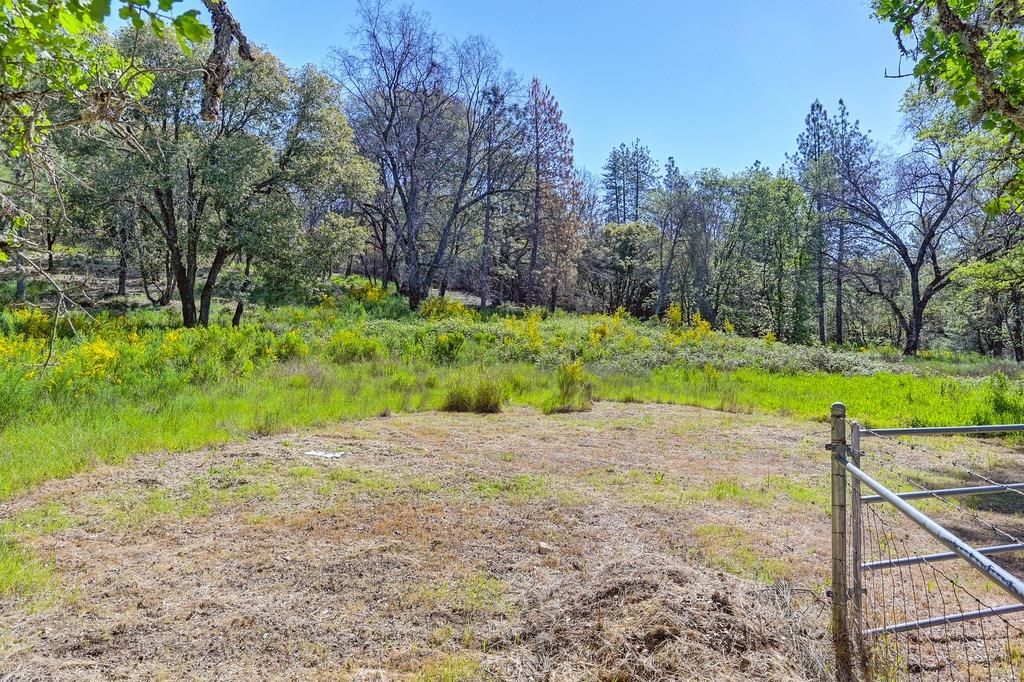 Greenwood Road, Garden Valley, California image 18