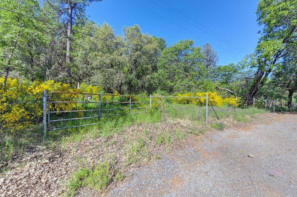 Greenwood Road, Garden Valley, California image 23