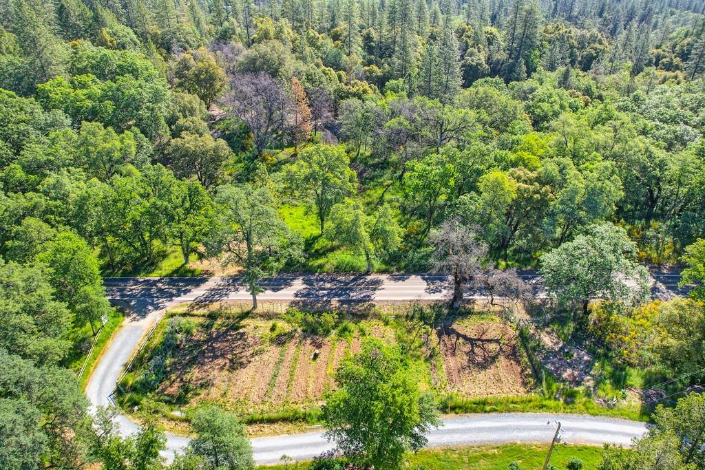 Greenwood Road, Garden Valley, California image 13