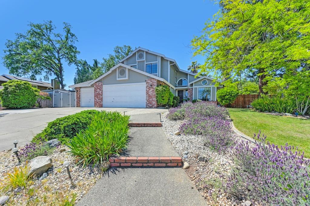 Bocana Road, Cameron Park, California image 5