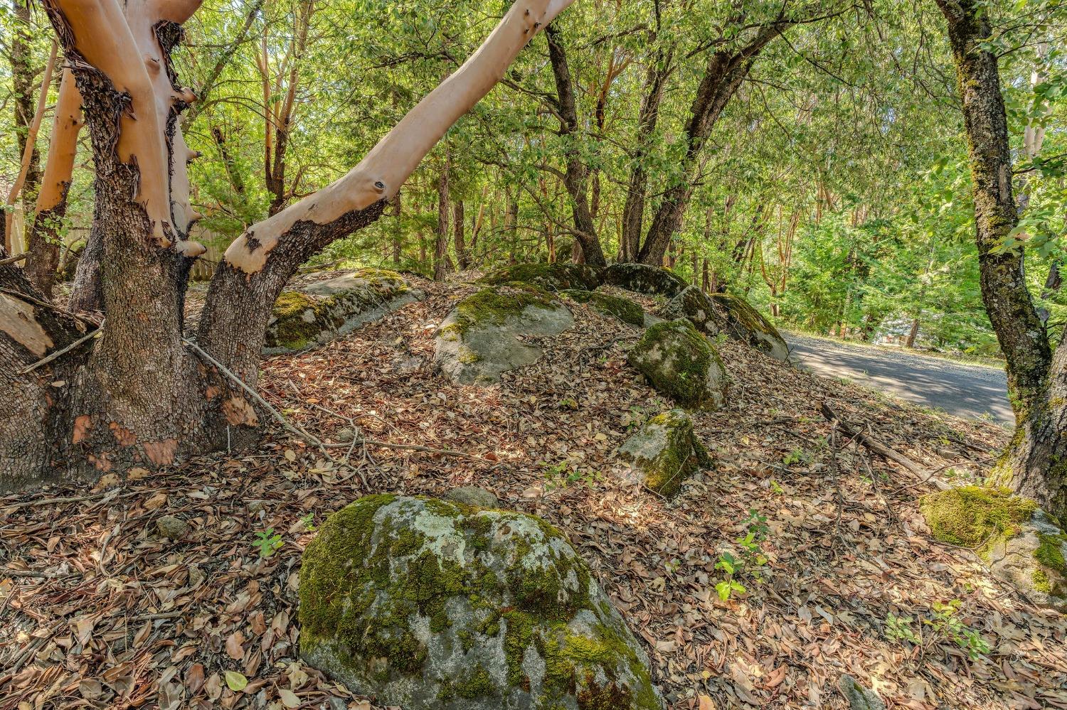 Detail Gallery Image 30 of 31 For 22895 Rocky Ln, Pioneer,  CA 95666 - 2 Beds | 1 Baths