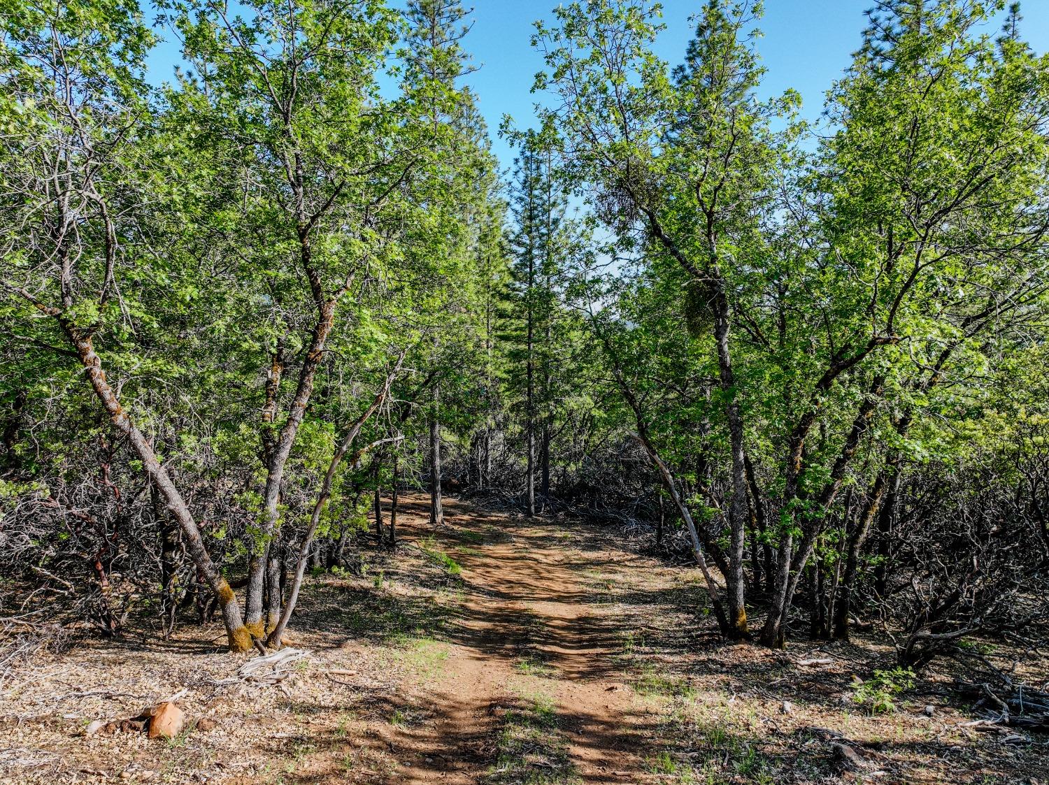 Detail Gallery Image 23 of 32 For 21160 Kuntz Rd, Nevada City,  CA 95959 - – Beds | – Baths