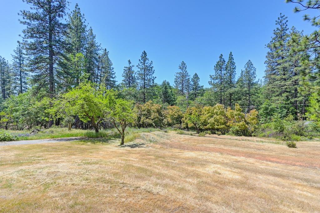 Detail Gallery Image 34 of 38 For 20427 Starlight Ln, Grass Valley,  CA 95945 - 3 Beds | 2 Baths