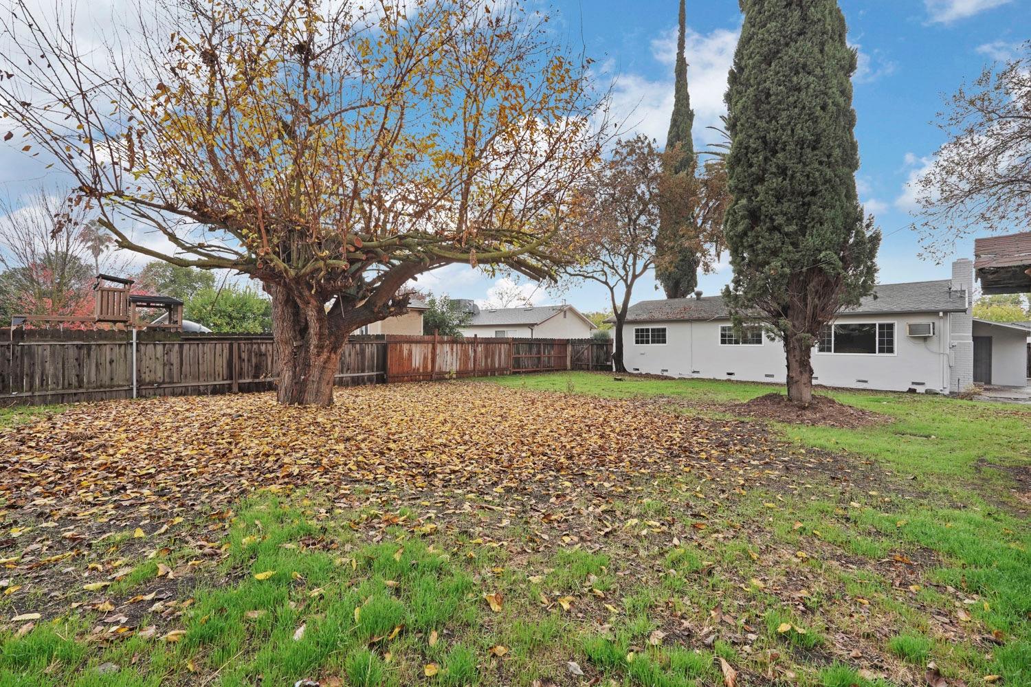 Jean Avenue, Stockton, California image 39