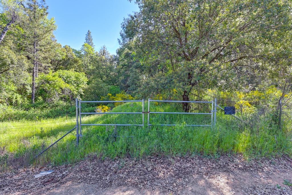Greenwood Road, Garden Valley, California image 5