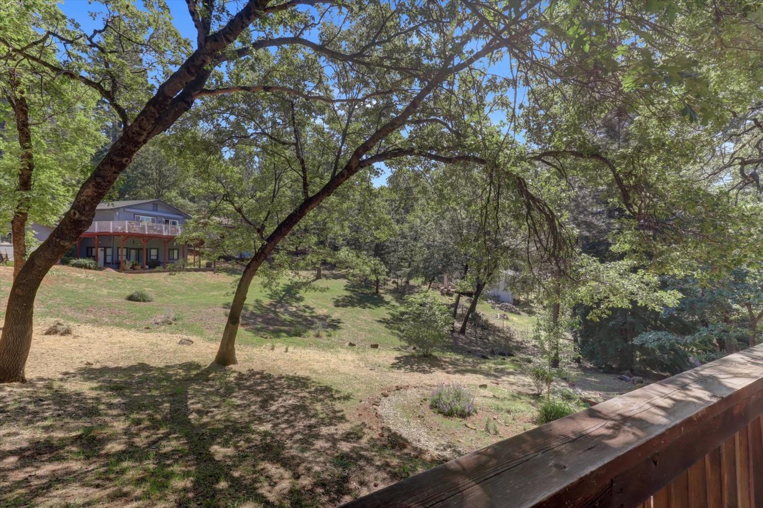 Norlene Way, Grass Valley, California image 48